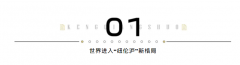 纽伦沪的新样本，为什么都盯上了这个内环滨江“双子楼”？